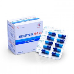 Lincomycine Creat 500Mg B/12*10