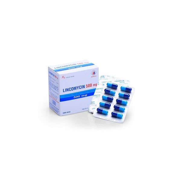 Lincomycine Creat 500Mg B/12*10