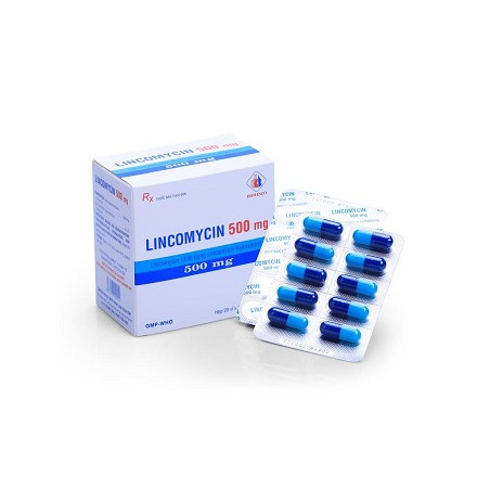 Lincomycine Creat 500Mg B/12*10