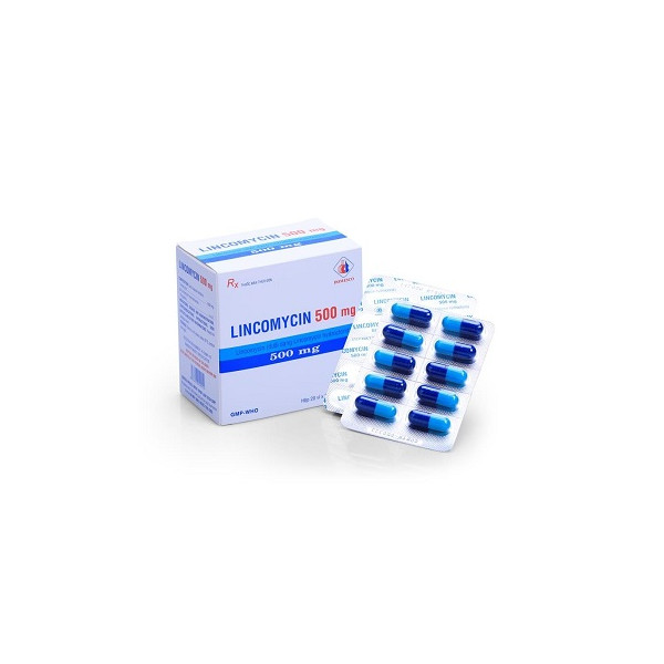 Lincomycine Creat 500Mg B/12