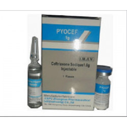 Pyocef-1G Injectable