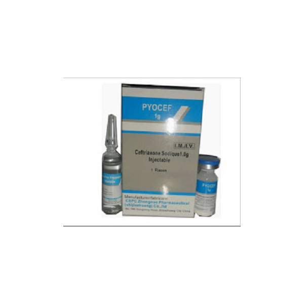 Pyocef-1G Injectable