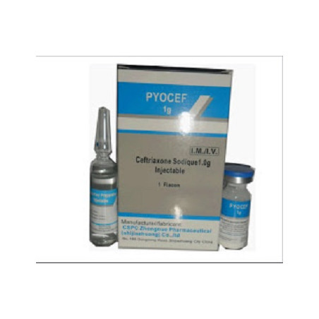 Pyocef-1G Injectable
